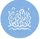 icon_0012_图层 13.webp